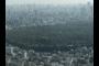 Yoyogi Park