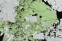Uvarovite