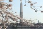 Washington Monument