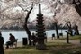 Japanese Stone Pagoda