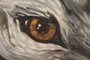 the Eye has it