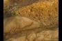 Sandstone layer