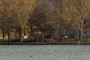 Königsdamm