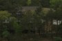 Back yard?