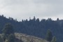 Aldape Summit - 4797 '