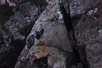2989-210x140