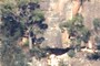 Cliff trees