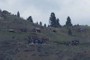 Houses