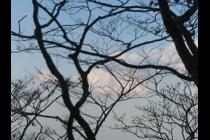 35889-210x140