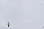 ski