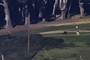 People playing golf