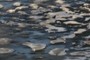Melting ice in Lake