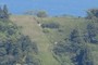 山の上の旧茶畑