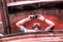 tourist