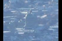 35485-210x140