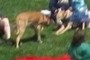 A whole lot of sniffing going on