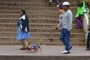 Walking miniature dogs