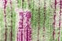 NDVI classes