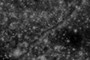 Tube Structure
