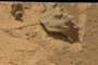 Fossils