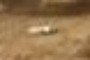 What's This?