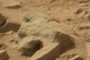 Lion or Bear Statue Head