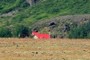 red roof