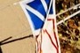 NFLD
