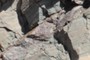 Clastic dike