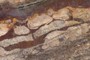 Soft sediment deformation
