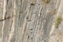 A closer look
