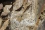 Melanterite  