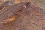 This rust