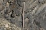 Scale