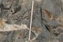 Scale
