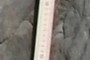 10 cm