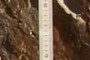 Scale
