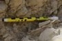 Scale pencil