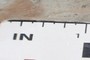 Scale