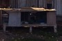 Rabbit Hutch