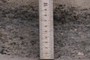Scale