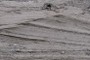 Cross-bedding
