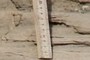 Scale