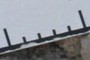 Scale