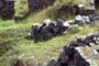 rocks