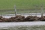 Debris piled up
