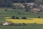 Rape field
