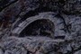 Quillarumiyoc