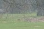 Location of the Other View of the Hamlet