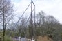 The Swing